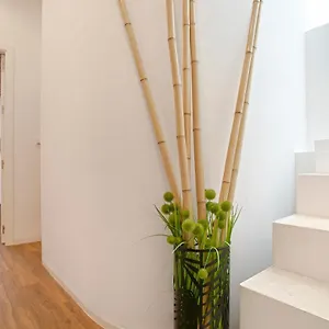 Apartment Genteel Santa Teresa, Sevilla